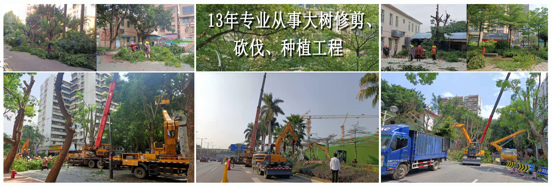 佛山園林綠化工程,佛山樹(shù)木大樹(shù)修剪,佛山植物租賃，佛山綠植出租租賃，佛山綠化養(yǎng)護(hù)
